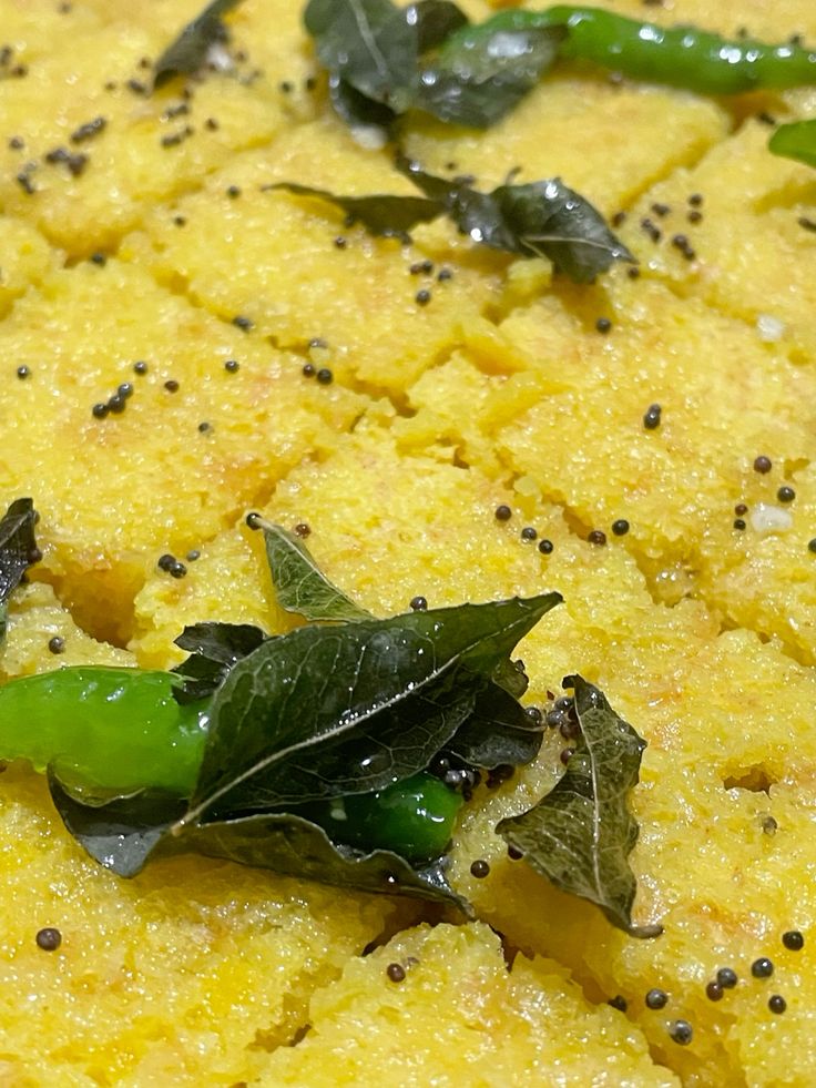 dhokla with coriander leaves